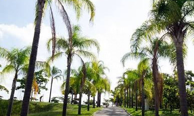 Condominio Parque YTU Xapada - Itu-SP.