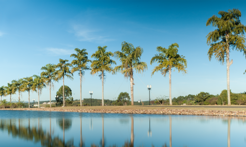 Condomínio Terras de São José II